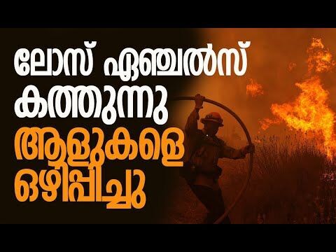 അണയാതെ കാട്ടുതീ | Los Angeles | California wildfires |  Canyon fire | America | Kalakaumudi Online