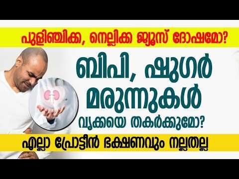 ബിയറും പുകവലിയും പെയിന്‍ കില്ലറും വൃക്കകളെ കൊല്ലും! | Health Care | Wellness | Kalakaumudi Online
