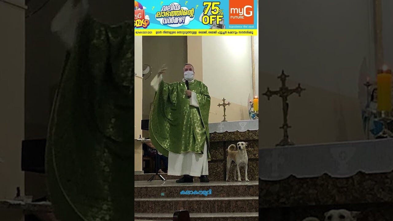 തെരുവ് നായകൾക്ക് കാവലായൊരു  പാതിരി| Kalakaumudi Online