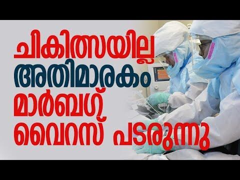 വൈറസ് ബാധിച്ചാല്‍ രക്ഷപെടാന്‍ സാധ്യത 12 ശതമാനം മാത്രം | Marburg Virus Outbreak | Kalakaumudi Online