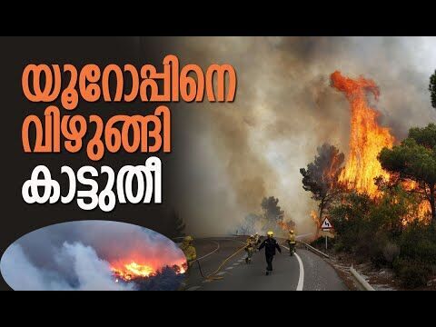 തീ ആളിക്കത്തിച്ച് ഉഷ്ണക്കാറ്റും| Wildfires Tear Through Europe | France | Spain | Kalakaumudi Online