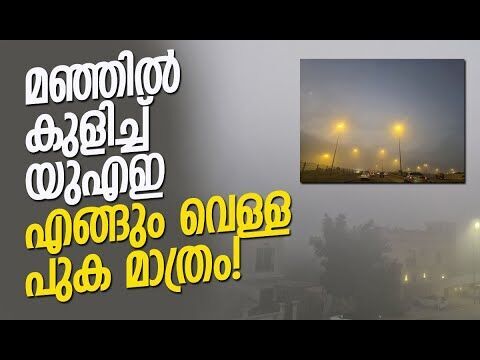 24 വരെ അതീവ ജാഗ്രതാ നിര്‍ദ്ദേശം | Fog in UAE | Weather Update | Winter | Kalakaumudi Online