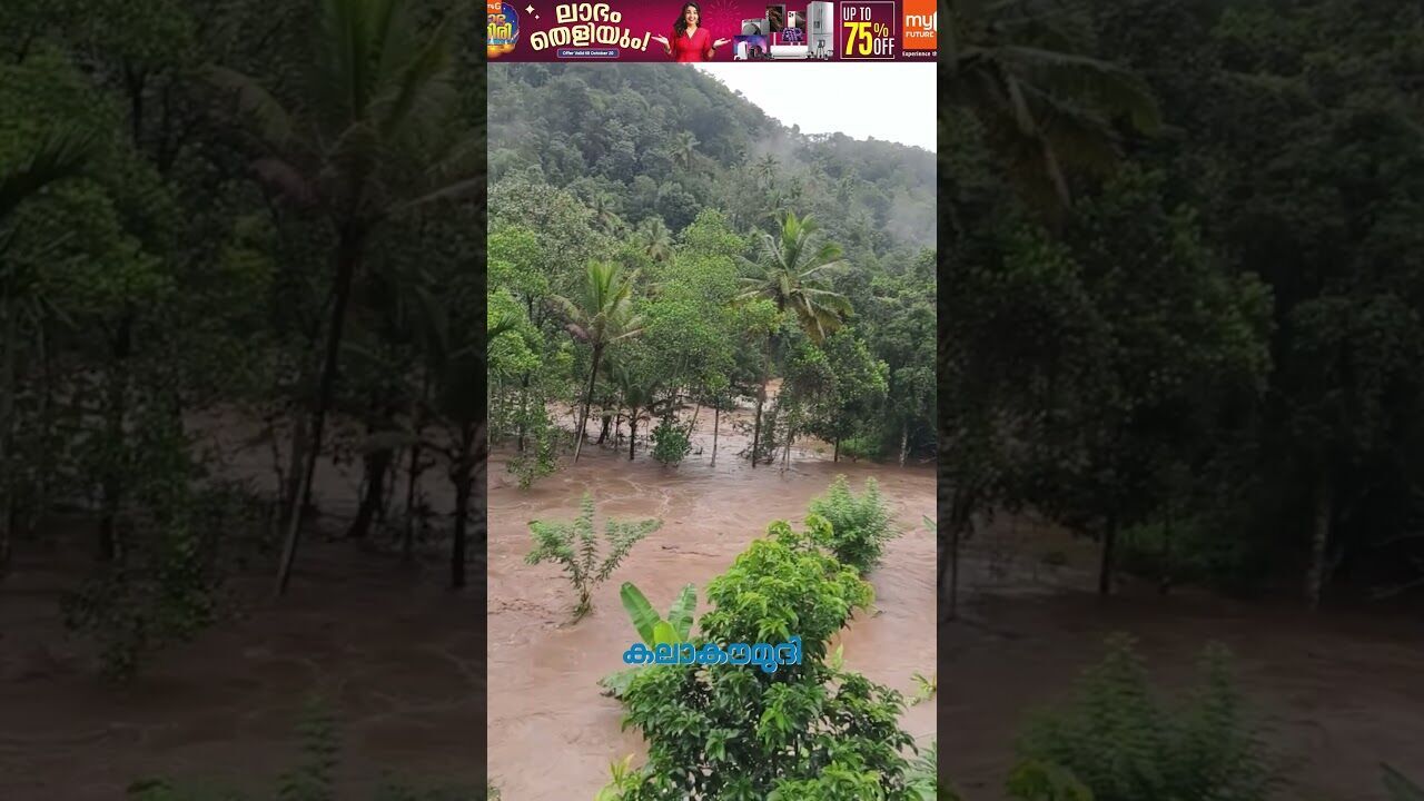 ഇടുക്കിയെ മുക്കി പെരുമഴ; പ്രളയം വിഴുങ്ങി | Idukki Rain | Kerala Weather Update | Kalakaumudi Online