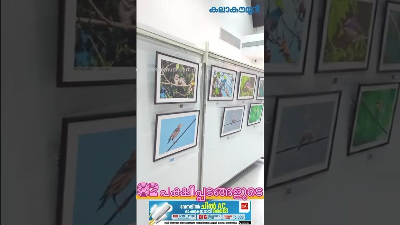 മുരളീസ് ബേഡ്‌സ്, പ്രൊഫ. മുരളി ശിവരാമകൃഷ്ണന്റെ ഫോട്ടോ പ്രദര്‍ശനം | Photo Exhibition | Kalakaumudi