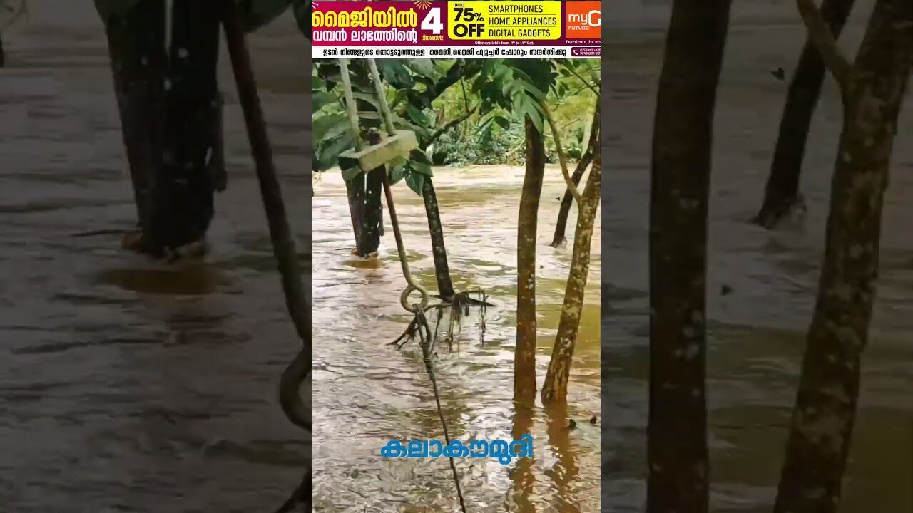 അലറിവിളിച്ച് തൂവല്‍വെള്ളച്ചാട്ടം! ഇടുക്കിയില്‍ മഴക്കെടുതി | Idukki Rain | Flood | Kalakaumudi Online