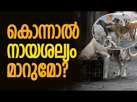 പരിഹാരം അതല്ല; നമ്മുടെ ഭാഗത്തും തെറ്റുണ്ട്| Stray Dog Menace | Stray Dog Attack | Kalakaumudi Online